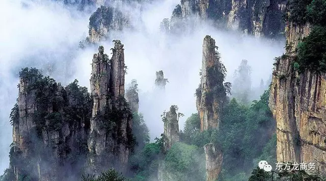 東方龍商務(wù)與張家界經(jīng)濟(jì)開發(fā)區(qū)達(dá)成委托招商引資合作，助力打造生態(tài)工業(yè)新城