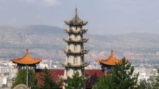 委托招商引資合作丨全力助推甘肅臨洮縣特色富民產(chǎn)業(yè)大發(fā)展！