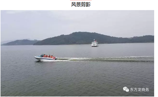 【團(tuán)隊(duì)建設(shè)】東方龍商務(wù)團(tuán)隊(duì)天目湖站拓展活動(dòng)圓滿成功