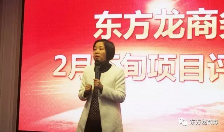 東方龍商務(wù)舉行二月下半月投資選址項目評估會，確定下階段重點(diǎn)對接項目