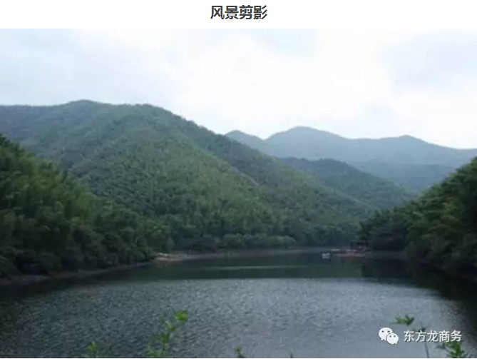 【團(tuán)隊(duì)建設(shè)】東方龍商務(wù)團(tuán)隊(duì)天目湖站拓展活動(dòng)圓滿成功