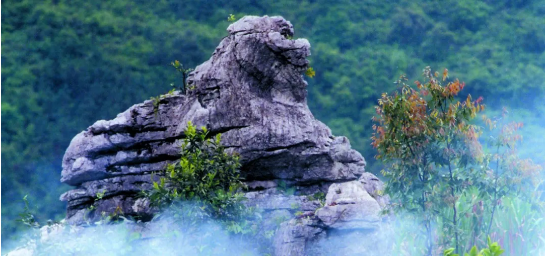 政府委托招商合作丨全力助推浙江衢州常山縣傳統(tǒng)產(chǎn)業(yè)加快升級(jí)，新興產(chǎn)業(yè)異軍突起