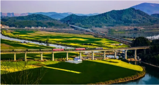 集團(tuán)全力助推安徽池州東至縣委托招商引資，開(kāi)啟現(xiàn)代化“三美東至”建設(shè)新征程