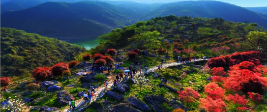 集團(tuán)全力助推安徽池州東至縣委托招商引資，開(kāi)啟現(xiàn)代化“三美東至”建設(shè)新征程