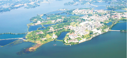 集團全力助推廣東湛江廉江市委托招商引資，圍繞優(yōu)勢產(chǎn)業(yè)補鏈、強鏈、延鏈