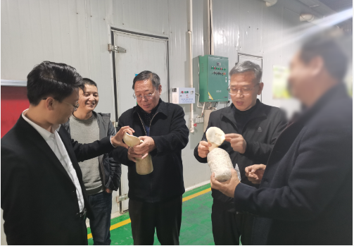 合作邁出堅實一步！集團推進3家優(yōu)質(zhì)投資選址企業(yè)精準對接地方政府
