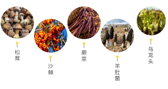 【甘南政府招商推介】立足生態(tài)優(yōu)勢，推動綠色發(fā)展，打造青藏高原上的生態(tài)文明高地