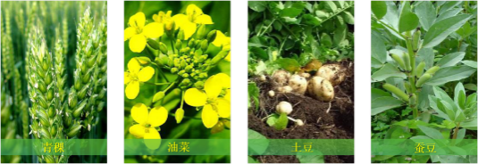 【甘南政府招商推介】立足生態(tài)優(yōu)勢，推動綠色發(fā)展，打造青藏高原上的生態(tài)文明高地