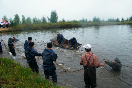 集團(tuán)全力助推黑龍江大慶肇源縣委托招商引資，挖掘多元化產(chǎn)業(yè)融合發(fā)展新動(dòng)能