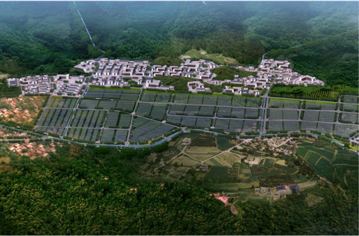 集團全力助推福建寧德周寧縣委托招商引資，強化特色產(chǎn)業(yè)實力，為全縣高質量發(fā)展增添新動力