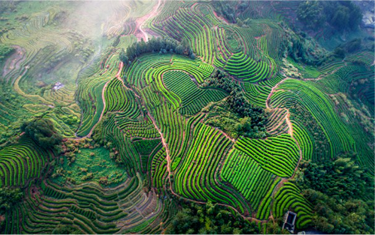 集團全力助推福建寧德周寧縣委托招商引資，強化特色產(chǎn)業(yè)實力，為全縣高質量發(fā)展增添新動力