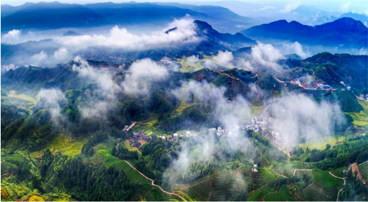 集團全力助推福建寧德周寧縣委托招商引資，強化特色產(chǎn)業(yè)實力，為全縣高質量發(fā)展增添新動力