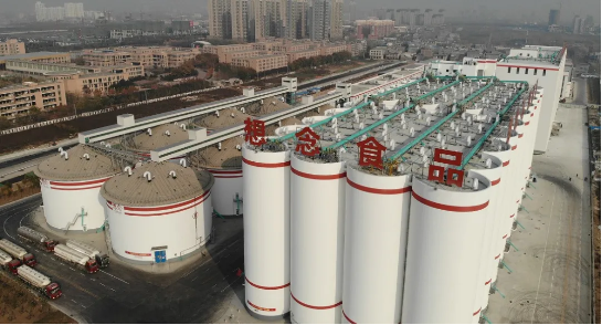 集團助力河南省南陽市鎮(zhèn)平縣委托招商引資，發(fā)揮資源優(yōu)勢，共建大美鎮(zhèn)平！