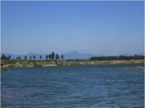 東方龍商務(wù)集團(tuán)助力河北高邑縣委托招商引資，以“新經(jīng)濟(jì)”撬動(dòng)“新引擎”