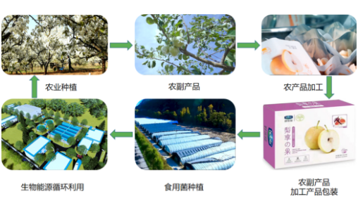 集團(tuán)全力助推山西省臨汾市隰縣委托招商引資，強(qiáng)力打造優(yōu)勢(shì)產(chǎn)業(yè)新名片