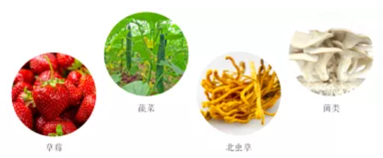 集團(tuán)全力助推遼寧省燈塔市委托招商引資，以“特色小鎮(zhèn)”打造全國(guó)產(chǎn)業(yè)集聚區(qū)