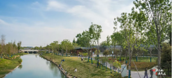 集團全力助推河南開封順河回族區(qū)委托招商引資，突出特色優(yōu)勢，強化精準賦能，提升經(jīng)濟活力