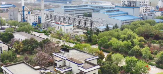 集團全力助推河南開封順河回族區(qū)委托招商引資，突出特色優(yōu)勢，強化精準賦能，提升經(jīng)濟活力