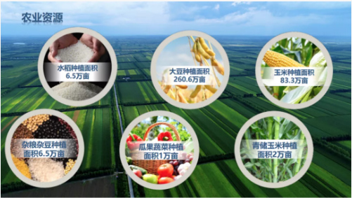 集團(tuán)全力助推黑龍江齊齊哈爾拜泉縣委托招商引資，立足資源優(yōu)勢(shì)，開(kāi)辟產(chǎn)業(yè)集群高質(zhì)量發(fā)展新高地