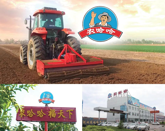 集團(tuán)全力助推河北石家莊深澤縣委托招商引資，立足“一主兩優(yōu)兩傳統(tǒng)”，加快構(gòu)建現(xiàn)代產(chǎn)業(yè)體系