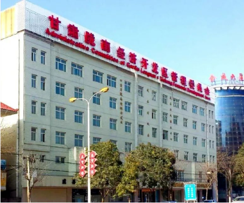 集團(tuán)全力助推甘肅隴南成縣委托招商引資，充分挖掘資源潛力，增強(qiáng)經(jīng)濟(jì)發(fā)展動(dòng)力