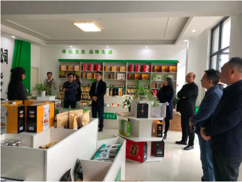 集團(tuán)全力助推甘肅隴南成縣委托招商引資，充分挖掘資源潛力，增強(qiáng)經(jīng)濟(jì)發(fā)展動(dòng)力