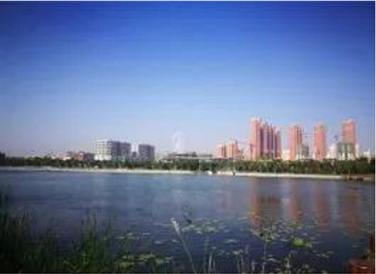 集團(tuán)全力助推河南鄧州市委托招商引資，促進(jìn)資源優(yōu)勢向主導(dǎo)產(chǎn)業(yè)集中轉(zhuǎn)化