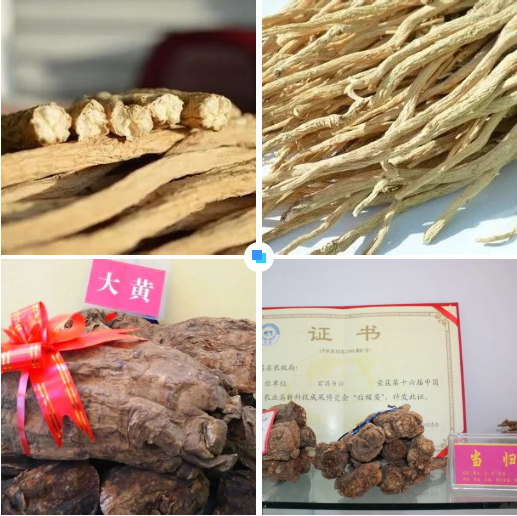集團全力助推甘肅隴南宕昌縣委托招商引資，以特色優(yōu)勢資源引領(lǐng)，培育綠色產(chǎn)業(yè)高質(zhì)量發(fā)展！