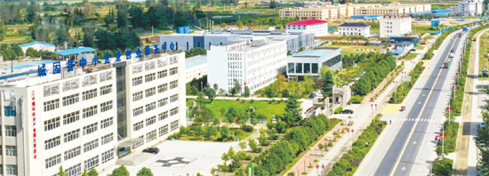 集團全力助推陜西省城固縣委托招商引資，打造百億級產(chǎn)業(yè)集群