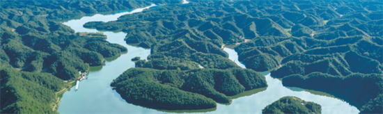 集團全力助推陜西省城固縣委托招商引資，打造百億級產(chǎn)業(yè)集群