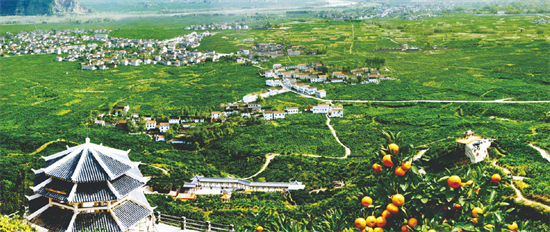 集團全力助推陜西省城固縣委托招商引資，打造百億級產(chǎn)業(yè)集群