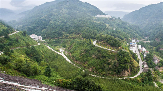 集團全力助推甘肅隴南武都區(qū)委托招商引資，將地域資源優(yōu)勢轉(zhuǎn)化為經(jīng)濟發(fā)展新動能