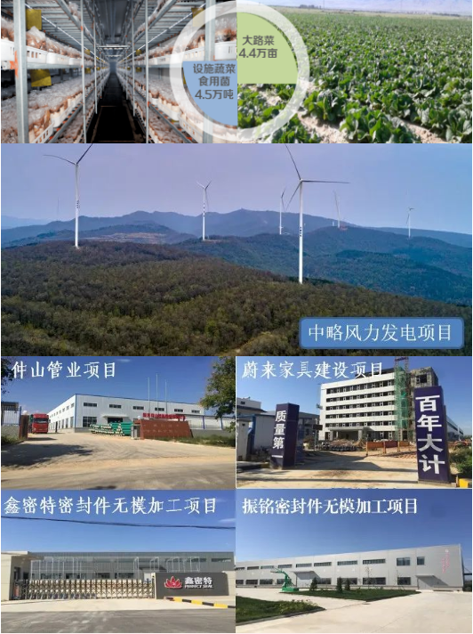 集團全力助推陜西淳化縣委托招商引資，打造優(yōu)勢特色產業(yè)集群