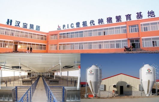 集團全力助推陜西淳化縣委托招商引資，打造優(yōu)勢特色產業(yè)集群
