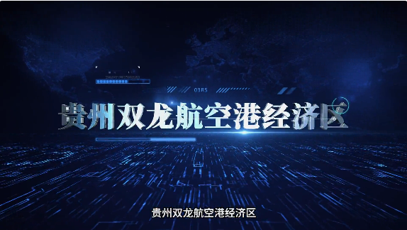 集團(tuán)全力助推貴州雙龍航空港經(jīng)濟(jì)區(qū)委托招商引資，搶占發(fā)展先機(jī)，打造開放經(jīng)濟(jì)新高地