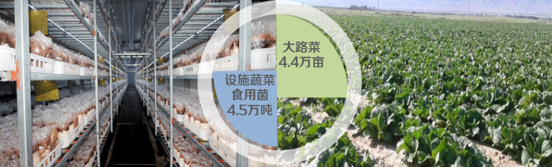 集團(tuán)全力助推陜西淳化縣委托招商引資，激發(fā)產(chǎn)業(yè)新活力，培育發(fā)展新動(dòng)能！