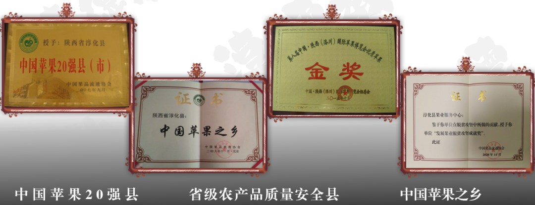 集團(tuán)全力助推陜西淳化縣委托招商引資，激發(fā)產(chǎn)業(yè)新活力，培育發(fā)展新動(dòng)能！