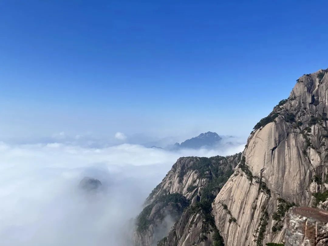 東方龍商務(wù)與春天有個約會！集團(tuán)100余人赴安徽黃山“團(tuán)建”，太嗨了！“奔跑二季度”——我們準(zhǔn)備好了！
