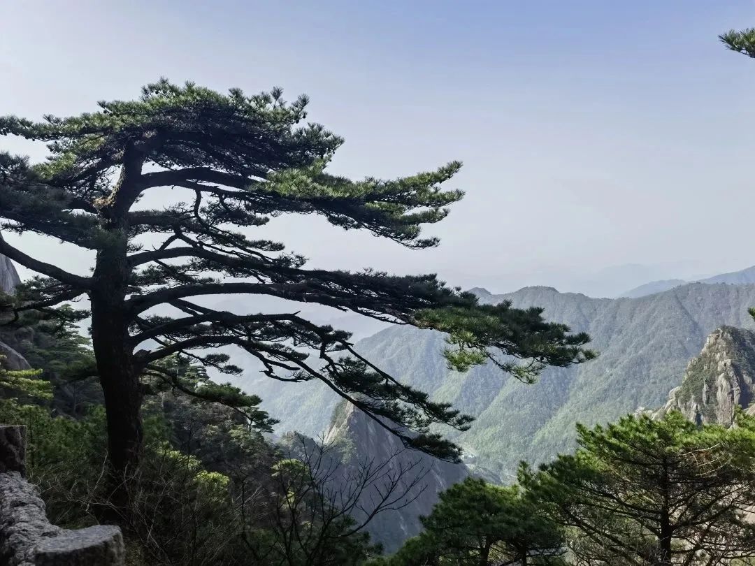 東方龍商務(wù)與春天有個約會！集團(tuán)100余人赴安徽黃山“團(tuán)建”，太嗨了！“奔跑二季度”——我們準(zhǔn)備好了！