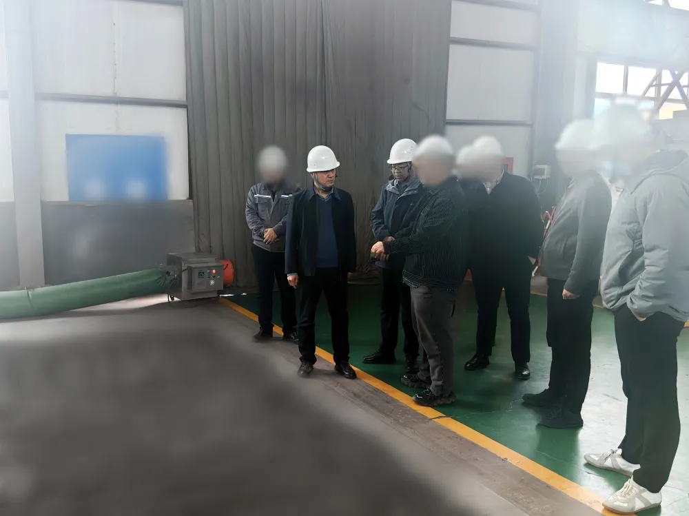 高新技術(shù)企業(yè)，超百項專利技術(shù)！甘肅某地方政府實地對接復(fù)雜難選金屬礦高效開發(fā)利用投資選址項目